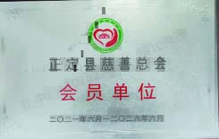 正中科技